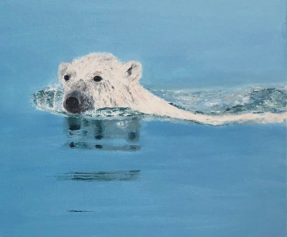 Polar bear