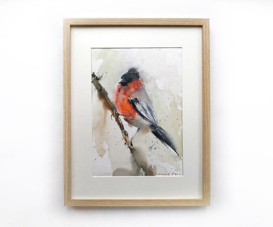 Bullfinch (small bird) - 20 x 29 cm