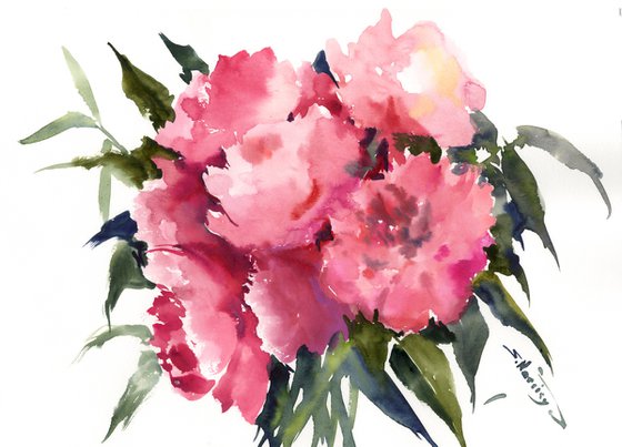 Peony Flowers