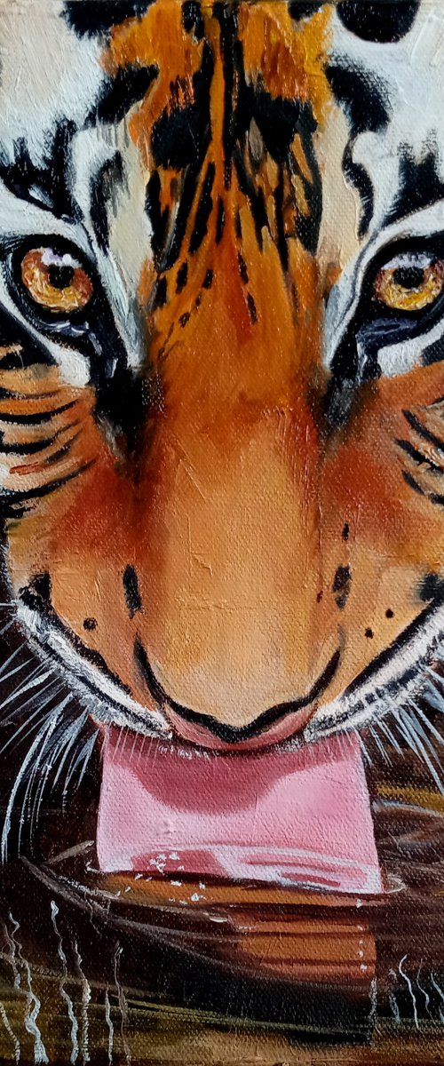 Young Tiger drinks Water by Ira Whittaker