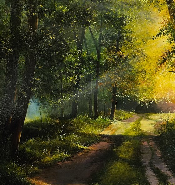 Sunlit Forest Path