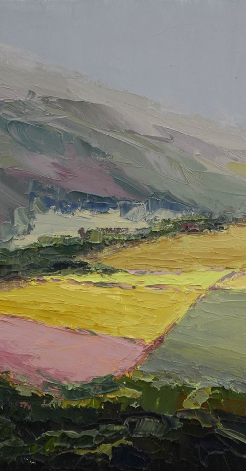 Peak Fields by Michael Jules Lang