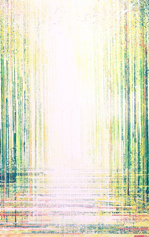 Spring Forest In Bright Light by Marc Todd