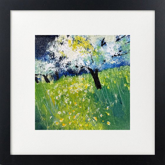 White Cherry Blossom Orchard