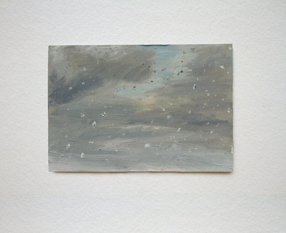 First snow 23 Dec 2020 by Daria Yablon-Soloviova
