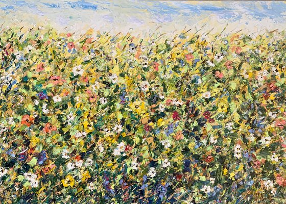 Blooming field in summer