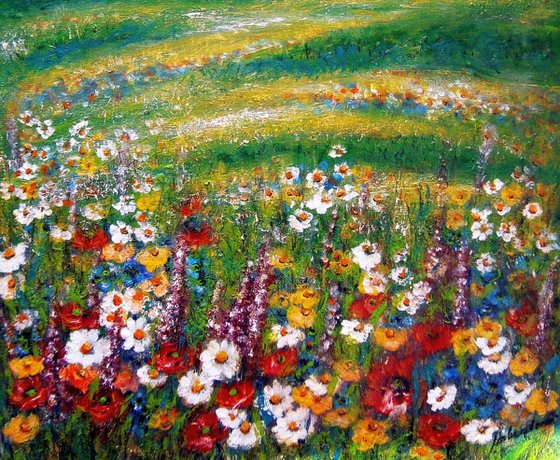 Meadow flowers 6