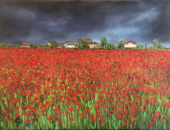 Poppy fields