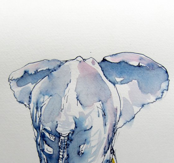 Funny elephant