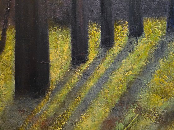 Light Within the Quiet