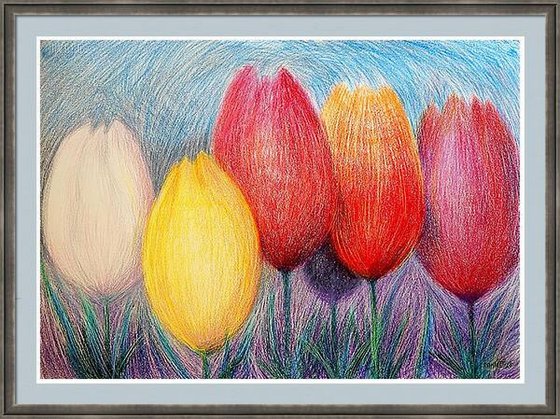 Tulips White 2