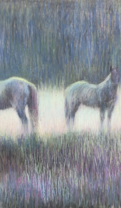 Fading Light by Nataliia Zaharuk
