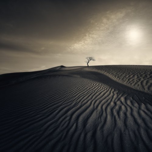 Desert Waves by Nick Psomiadis