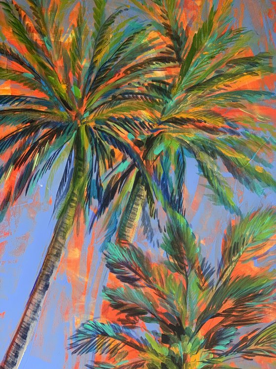 Palms tree