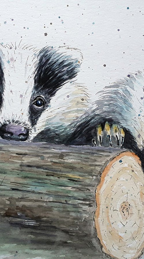 Don't Badger Me by Gillian Coates