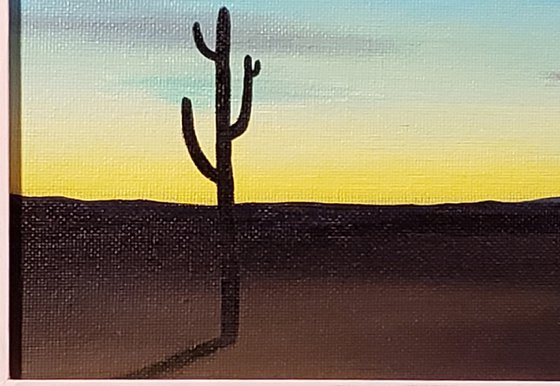 Cactus Night