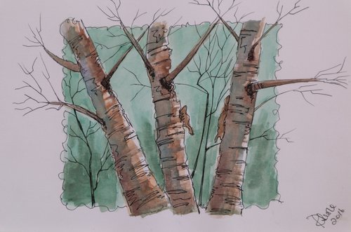 Birch Trees by Ruth Searle