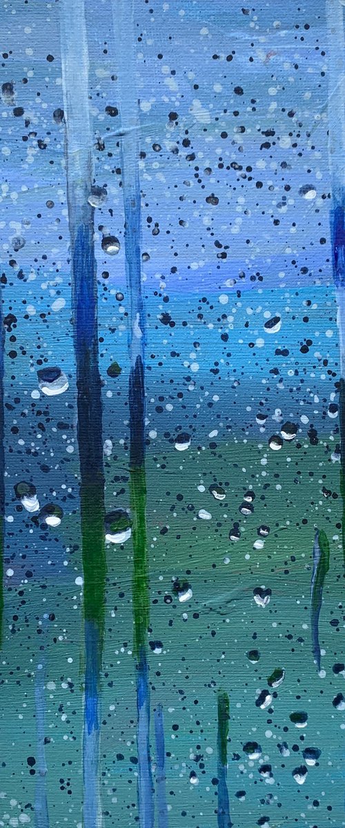 Window by Olga Pascari