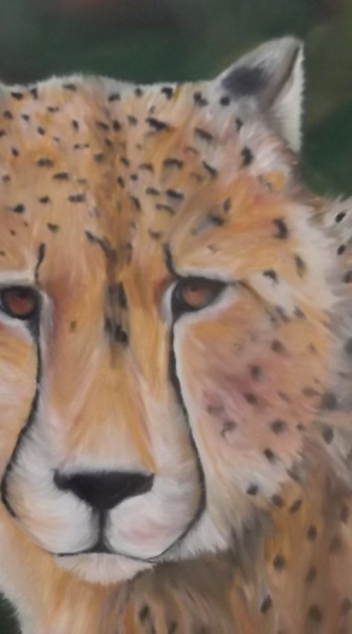 Wisdom and Strenght...Combination of Fox and Leopard by Timea  Valsami