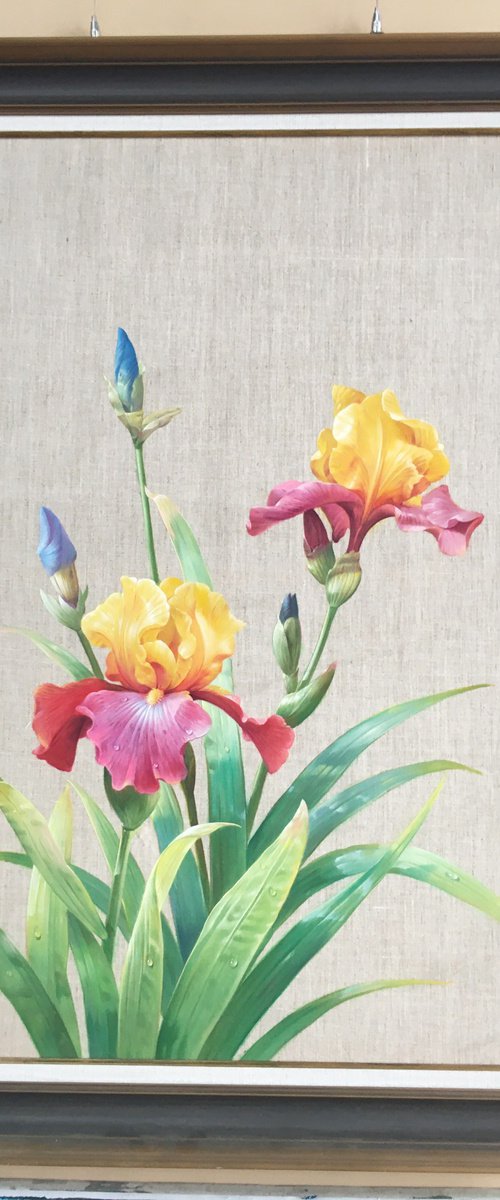 Elegant flowers 187 by Kunlong Wang