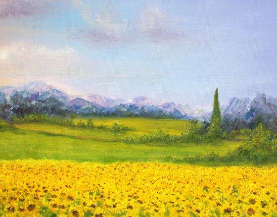 Sunflowers field