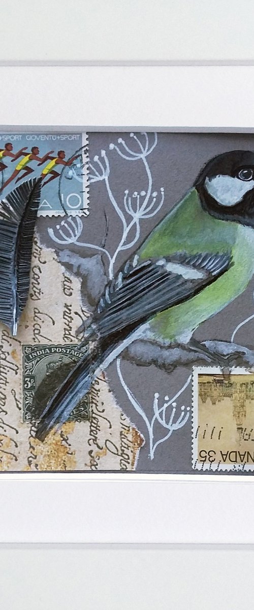 The great tit feather  (framed and ready to hang) by Carolynne Coulson
