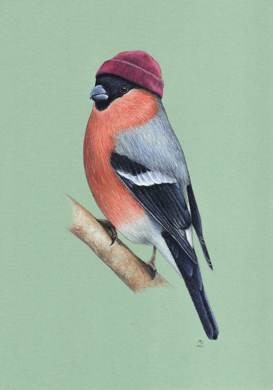 Original pastel drawing bird "Bullfinch"