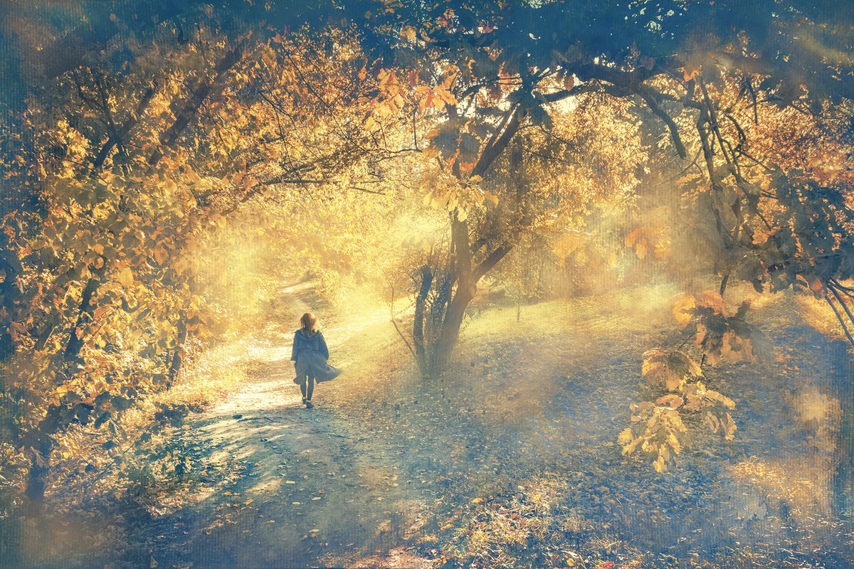 Impressionistic Landscape Photograph By Valerix, 24 X 16", In The Sunny Forest., Original Artwork