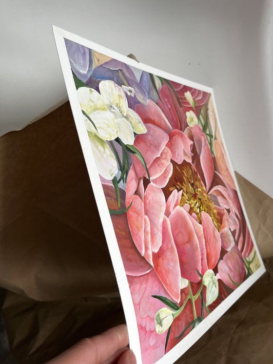 Peony Peonies Pink Flowers