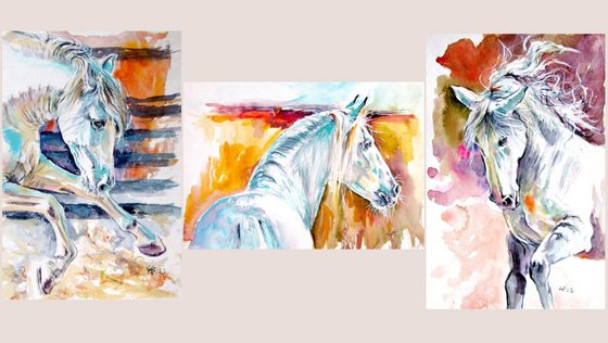 Andalusian horse collection