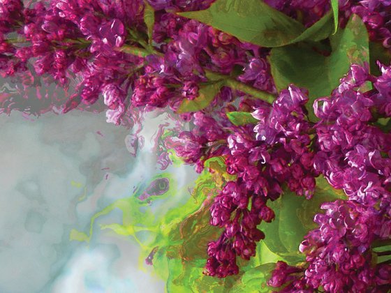 Lilas