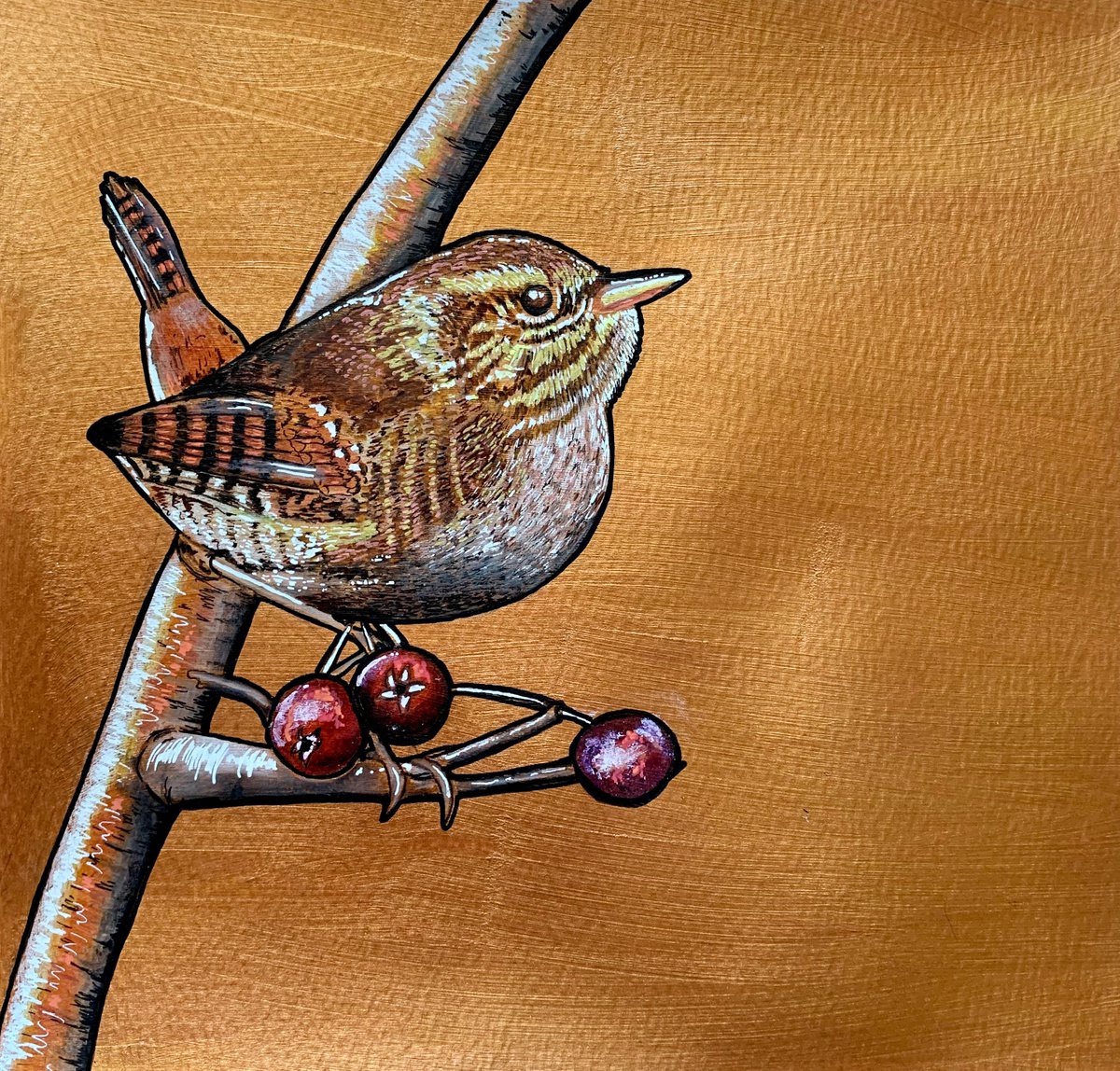 British Garden Birds series - Wren by Karen Elaine Evans