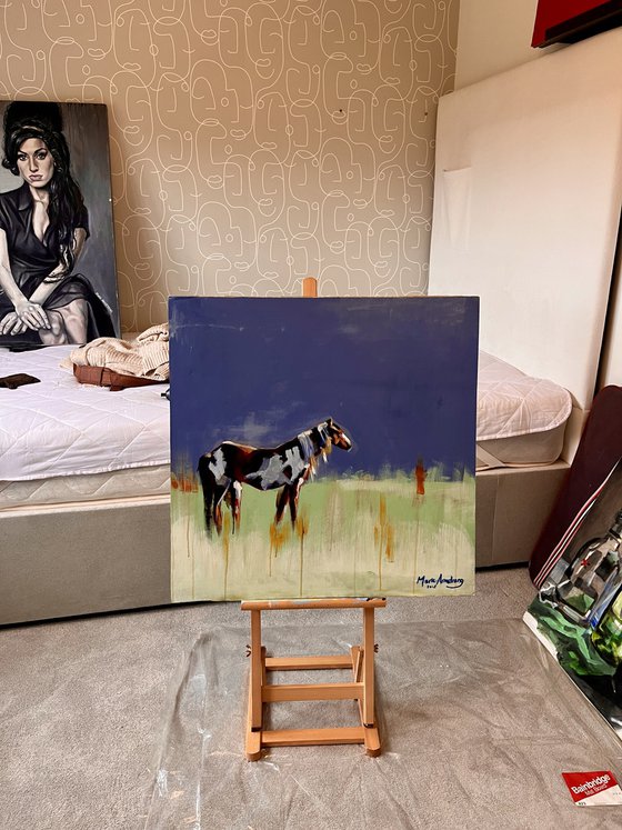 Horse with no Name