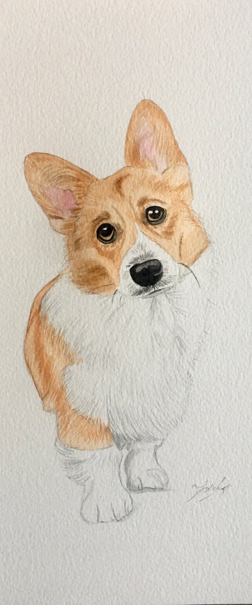 Corgi painting by Amelia Taylor