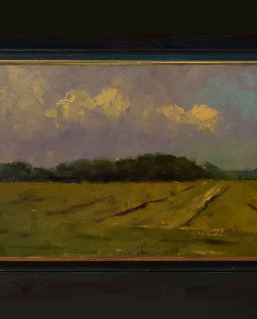 Field at Ford by Andre Pallat