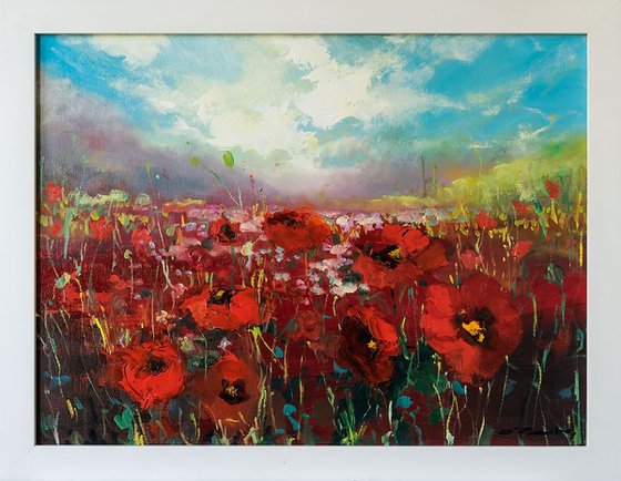 'Red Poppy Field'