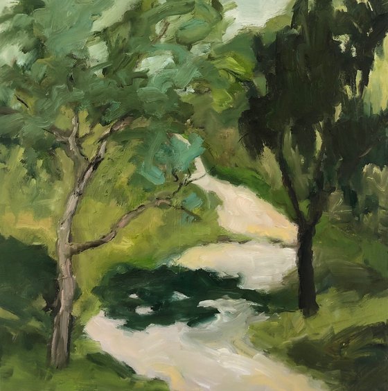 forest valley