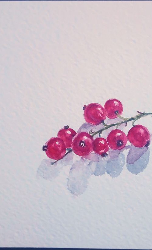 Red currant by Mag Verkhovets