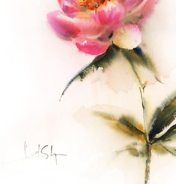 Pink Peony