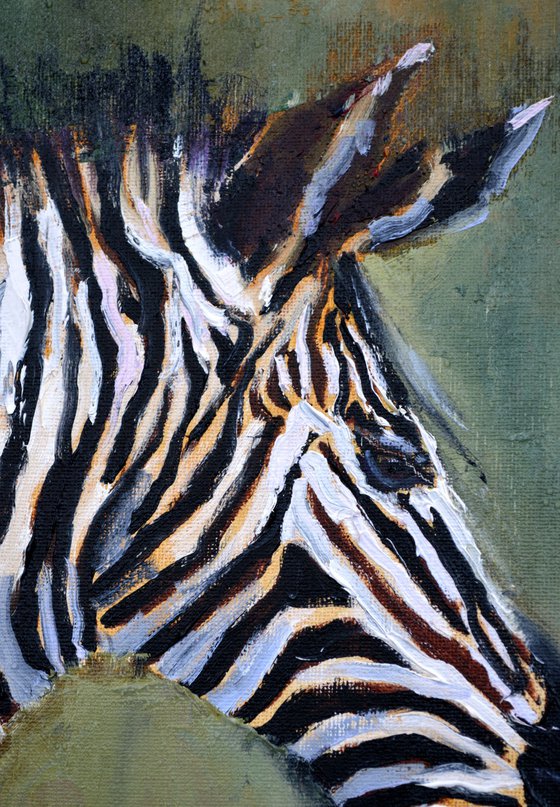 Zebra in profile