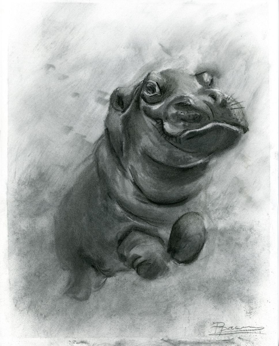 Swimming hippopotamus by Olga Shefranov (Tchefranova)