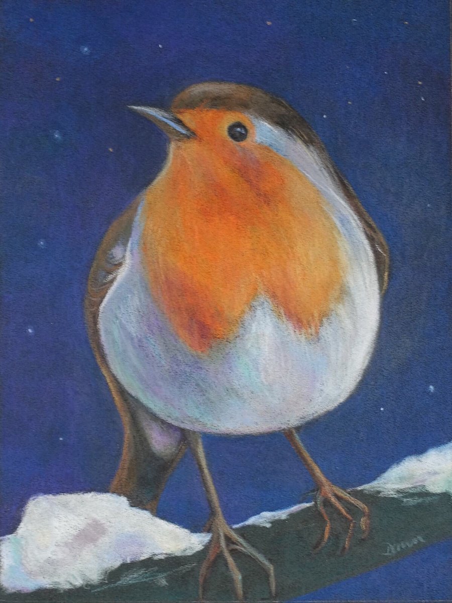 Robin in the Snow by Dawn Rodger