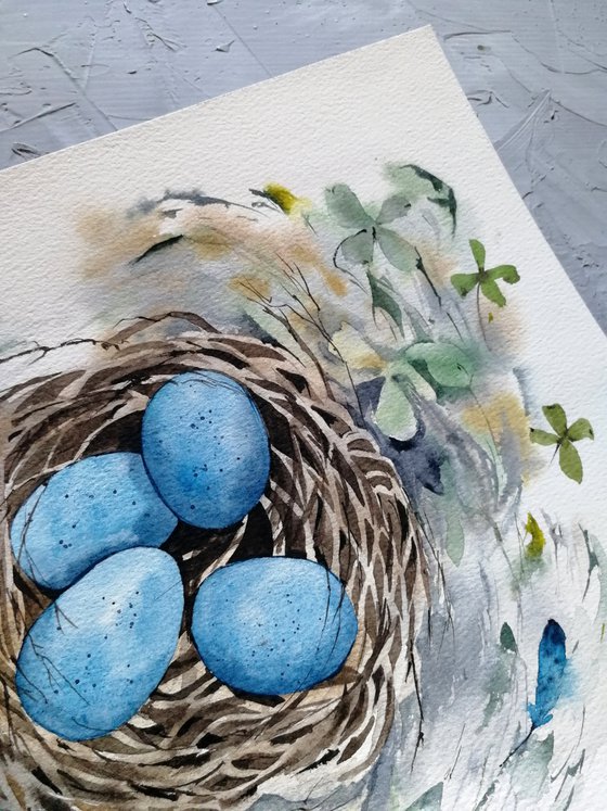 Nest with blue eggs