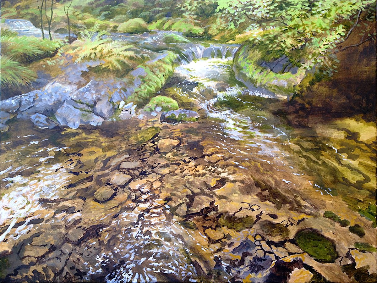 River Taw pool, Dartmoor by Daniel Loveday