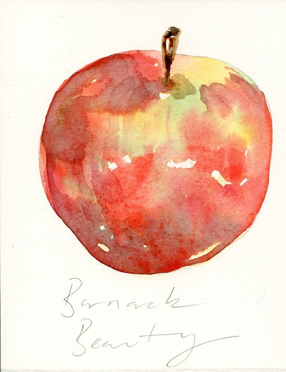 Barnack Beauty Apple Watercolour