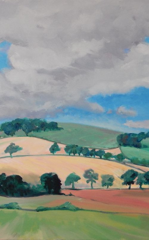 Fields and Trees, Fife, Scotland by Stephen Howard Harrison