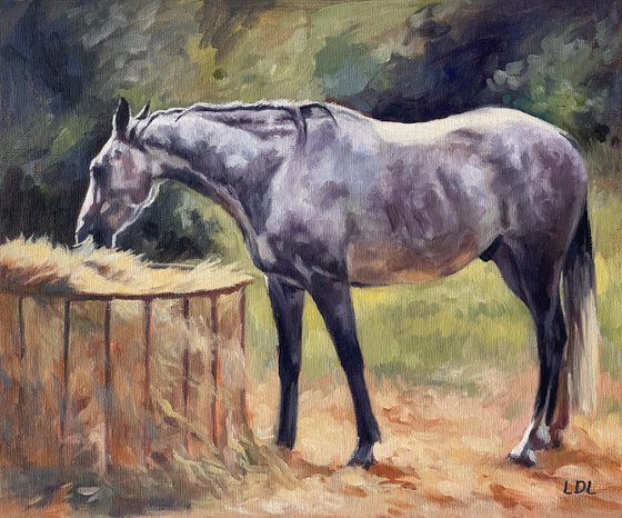 Peaceful - Dapple Grey Horse