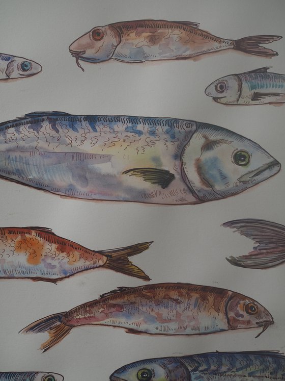 Set of fish - original seafood watercolor paintink and ink graphic