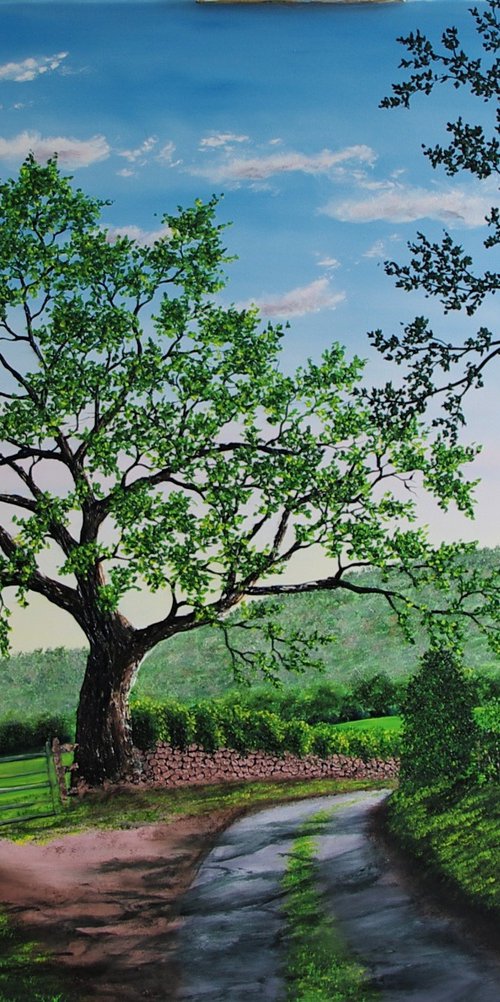 Mighty Oak In Summer by Hazel Thomson