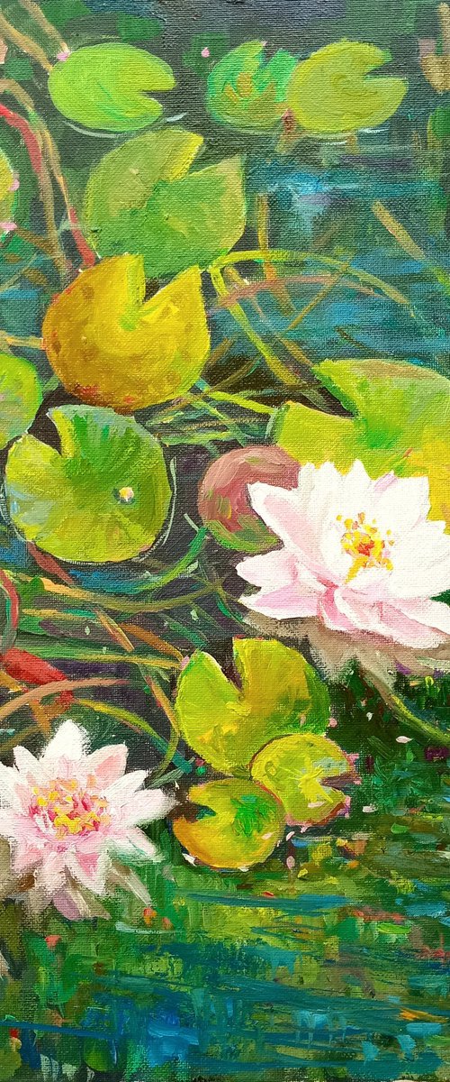 Water Lilies. Pond by Ann Krasikova